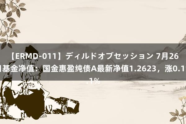 【ERMD-011】ディルドオブセッション 7月26日基金净值：国金惠盈纯债A最新净值1.2623，涨0.1%