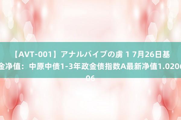 【AVT-001】アナルバイブの虜 1 7月26日基金净值：中原中债1-3年政金债指数A最新净值1.0206