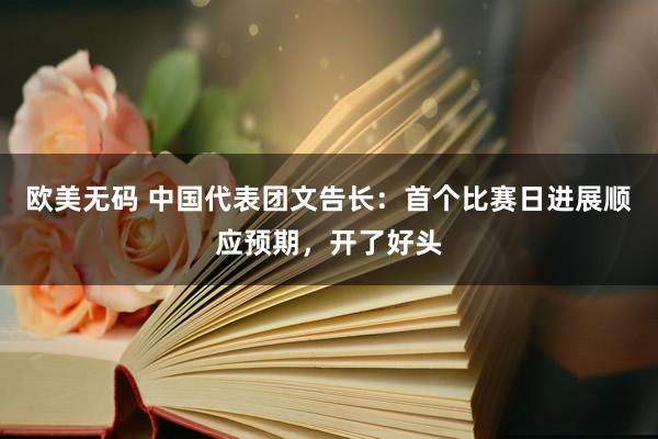 欧美无码 中国代表团文告长：首个比赛日进展顺应预期，开了好头