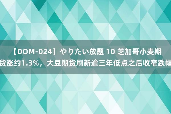 【DOM-024】やりたい放題 10 芝加哥小麦期货涨约1.3%，大豆期货刷新逾三年低点之后收窄跌幅