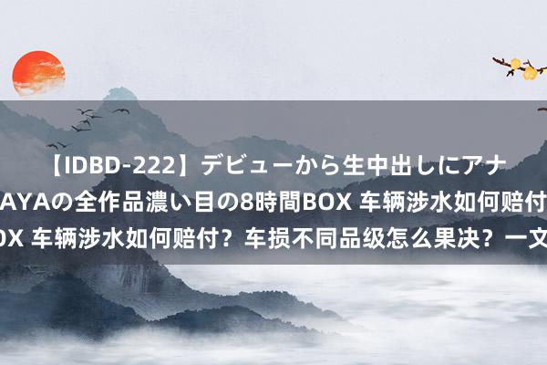 【IDBD-222】デビューから生中出しにアナルまで！最強の芸能人AYAの全作品濃い目の8時間BOX 车辆涉水如何赔付？车损不同品级怎么果决？一文了解