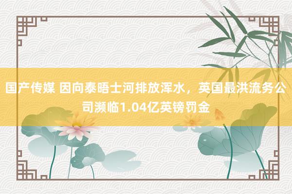 国产传媒 因向泰晤士河排放浑水，英国最洪流务公司濒临1.04亿英镑罚金