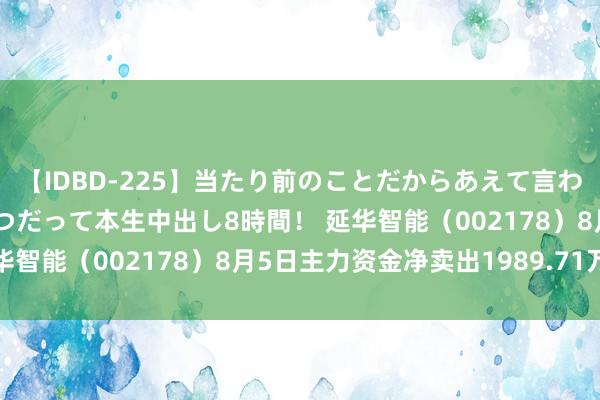 【IDBD-225】当たり前のことだからあえて言わなかったけど…IPはいつだって本生中出し8時間！ 延华智能（002178）8月5日主力资金净卖出1989.71万元