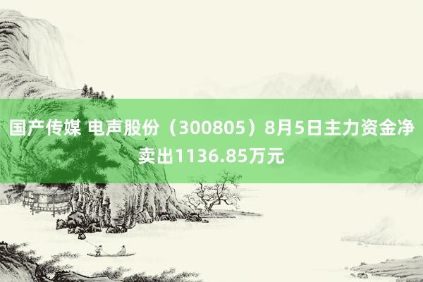 国产传媒 电声股份（300805）8月5日主力资金净卖出1136.85万元