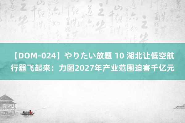 【DOM-024】やりたい放題 10 湖北让低空航行器飞起来：力图2027年产业范围迫害千亿元