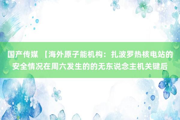 国产传媒 【海外原子能机构：扎波罗热核电站的安全情况在周六发生的的无东说念主机关键后