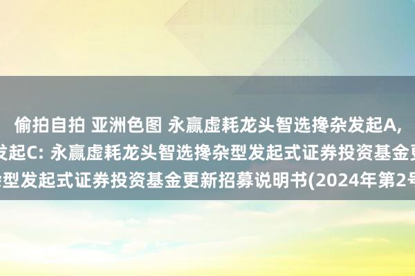 偷拍自拍 亚洲色图 永赢虚耗龙头智选搀杂发起A，永赢虚耗龙头智选搀杂发起C: 永赢虚耗龙头智选搀杂型发起式证券投资基金更新招募说明书(2024年第2号)