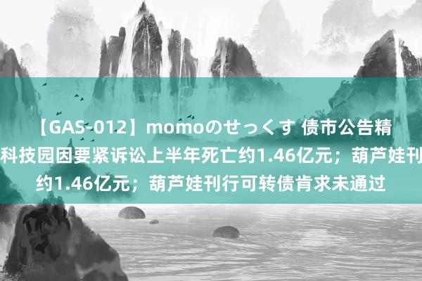 【GAS-012】momoのせっくす 债市公告精选（8月27日）|北大科技园因要紧诉讼上半年死亡约1.46亿元；葫芦娃刊行可转债肯求未通过