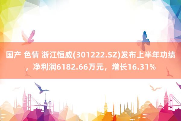 国产 色情 浙江恒威(301222.SZ)发布上半年功绩，净利润6182.66万元，增长16.31%