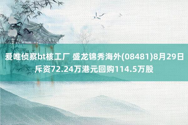 爰唯侦察bt核工厂 盛龙锦秀海外(08481)8月29日斥资72.24万港元回购114.5万股