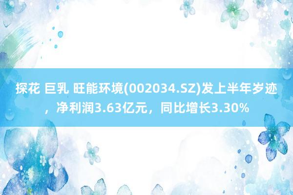 探花 巨乳 旺能环境(002034.SZ)发上半年岁迹，净利润3.63亿元，同比增长3.30%