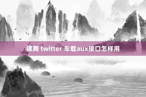 裸舞 twitter 车载aux接口怎样用