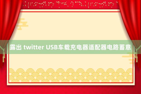 露出 twitter USB车载充电器适配器电路蓄意