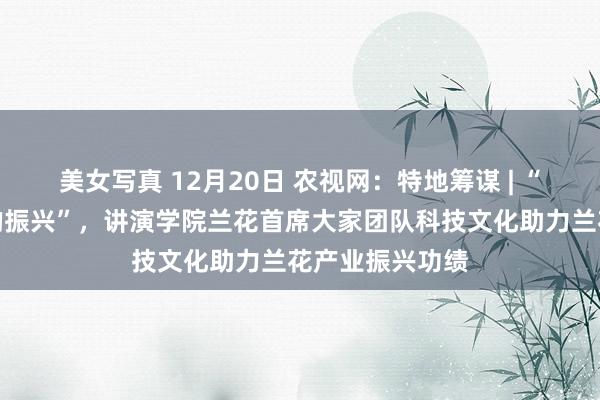 美女写真 12月20日 农视网：特地筹谋 | “为了中国兰花的振兴”，讲演学院兰花首席大家团队科技文化助力兰花产业振兴功绩